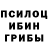 Псилоцибиновые грибы GOLDEN TEACHER Relacs Tini