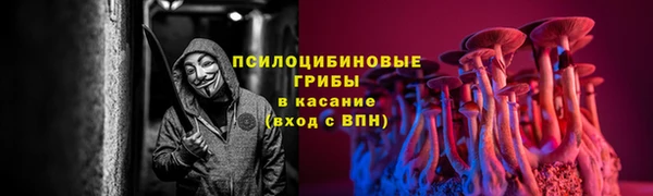 прущий лед Алзамай